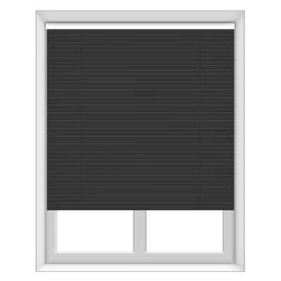 Graphite 25mm Rimlagardína