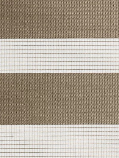 Zebra Gardinur Fresh Line BH49